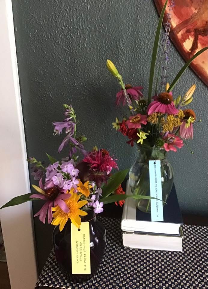 Garden photo